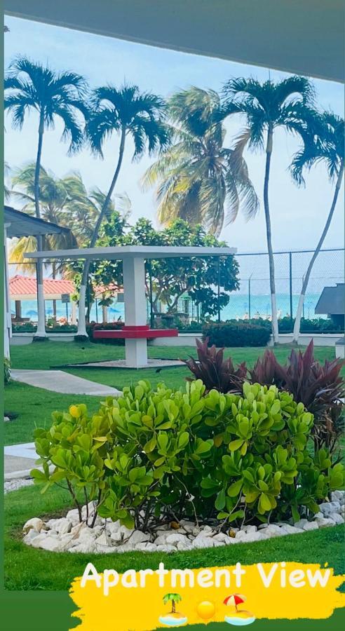 Isla Verde Frente A La Playa Y Piscina, Centrico Y Accesible 산후안 외부 사진